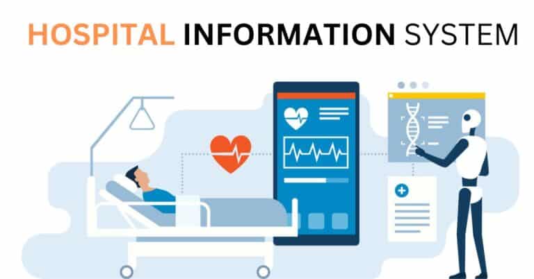 custom software development