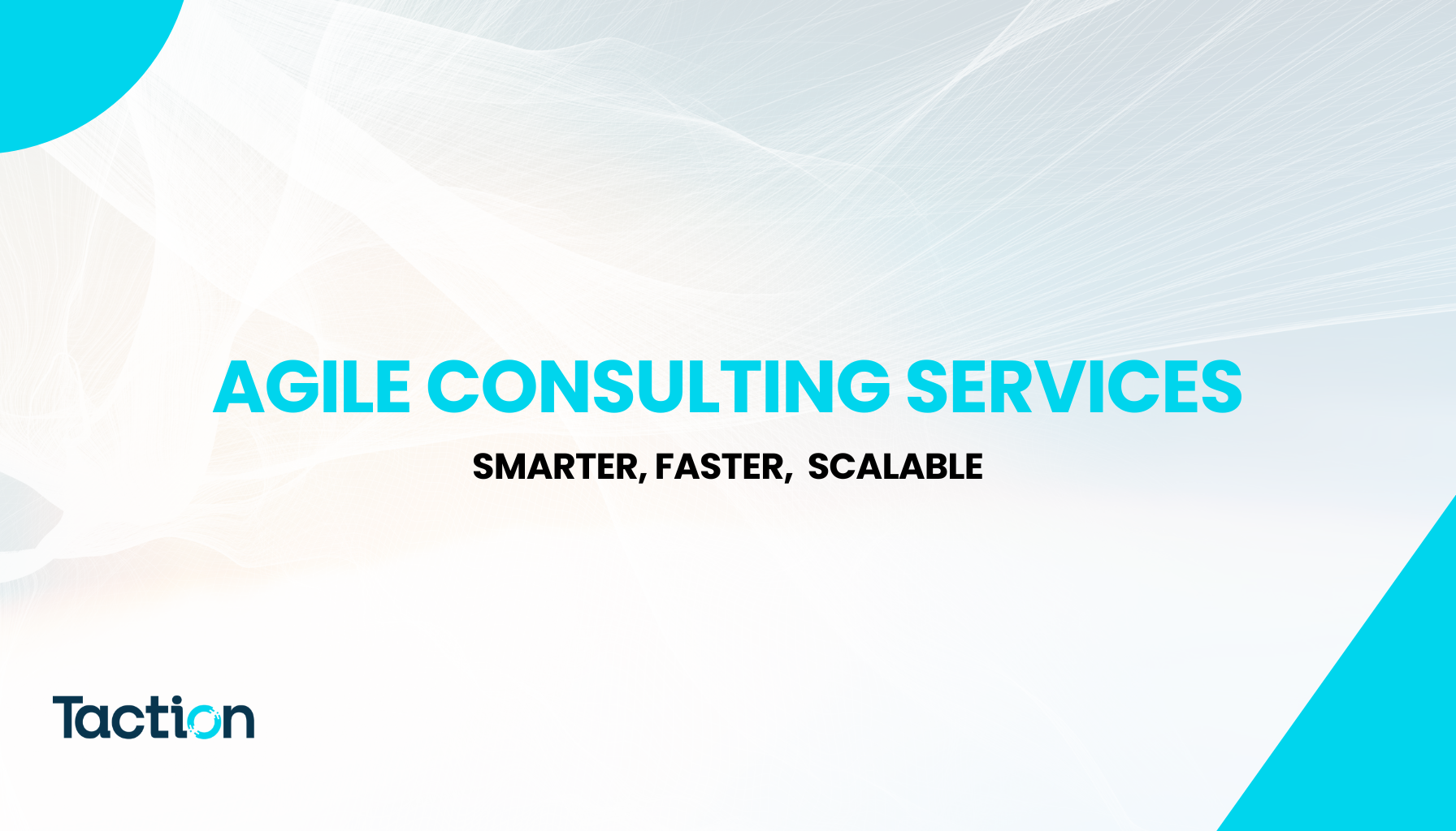 Agile Consulting Services: